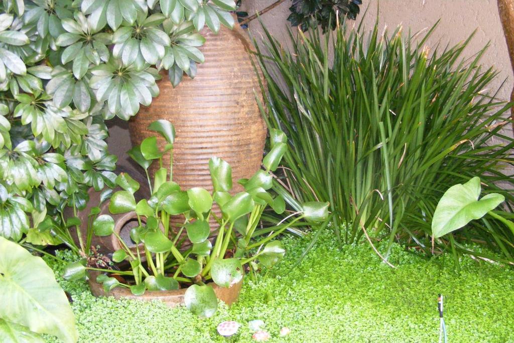 Linkside 2 Self-Catering Hotel มอสเซิลเบย์ ภายนอก รูปภาพ
